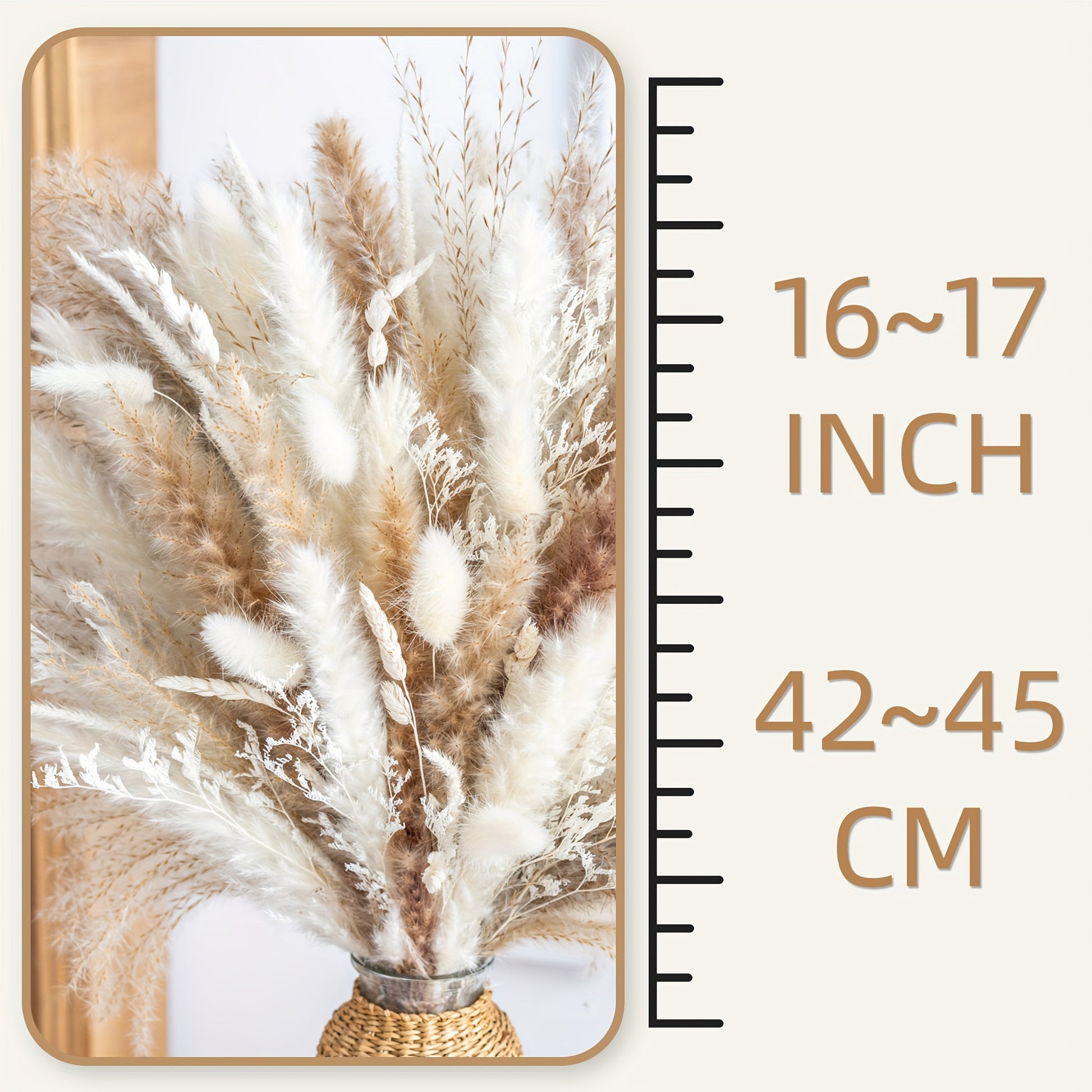 https://img.kwcdn.com/product/fancy/293d02e3-43bb-4162-8eeb-4fdf64057dfd.jpg