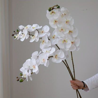 https://img.kwcdn.com/product/open/44053e1dd90343e1ac7d940bd7c76c65-goods.jpeg