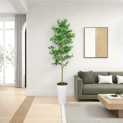 https://img.kwcdn.com/product/fancy/5b5a881a-b352-46ca-aeee-802ace3c50cf.jpg