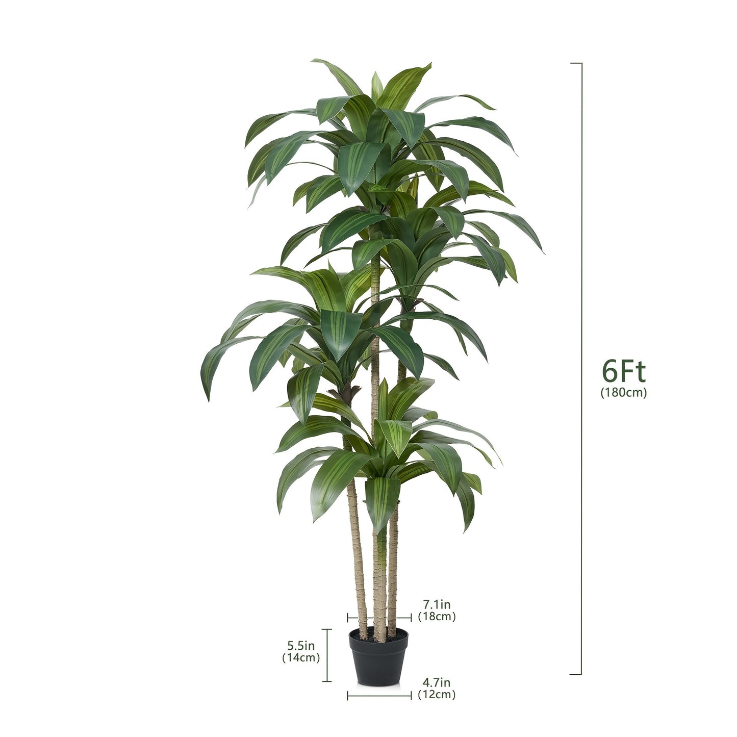 https://img.kwcdn.com/product/fancy/609a2eb8-cca7-438c-a39e-2bd51a874fa6.jpg