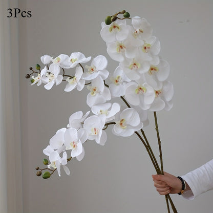 https://img.kwcdn.com/product/open/85221da0e95546d9aa0fea7f9ea87438-goods.jpeg