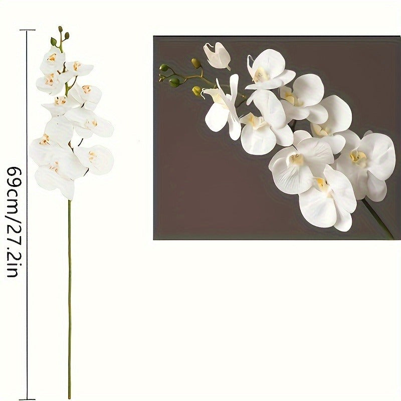 https://img.kwcdn.com/product/open/a0c0024ee8264630a956ee6292851765-goods.jpeg