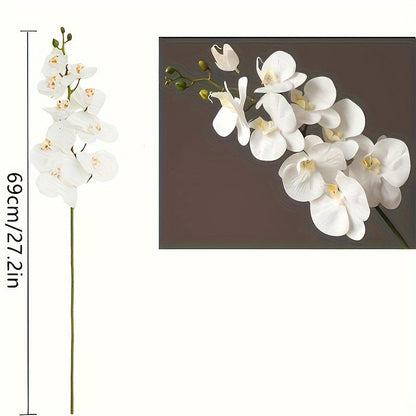 https://img.kwcdn.com/product/open/a0c0024ee8264630a956ee6292851765-goods.jpeg