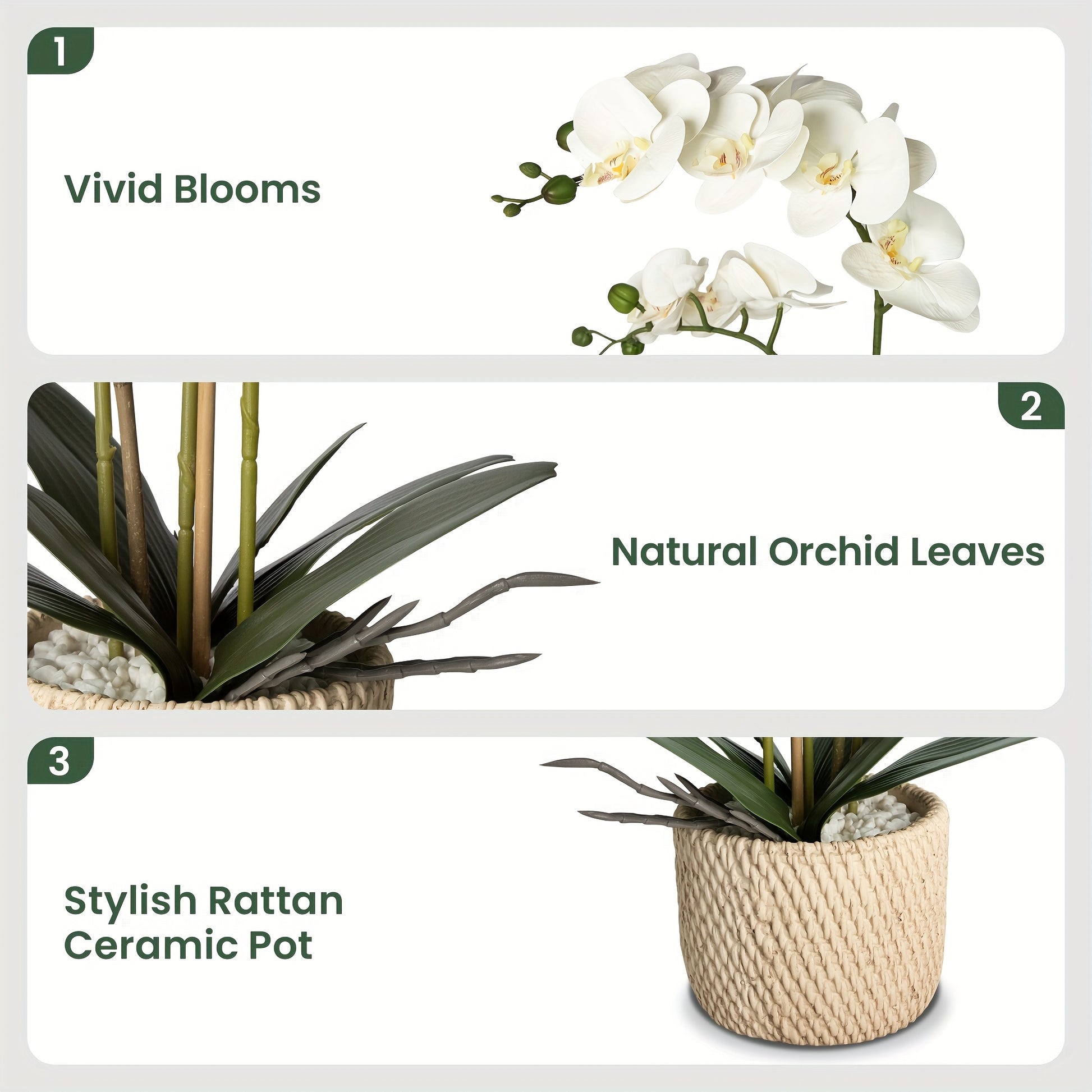 https://img.kwcdn.com/product/fancy/e66f4bed-fc64-4f73-9152-1b1d925b6553.jpg