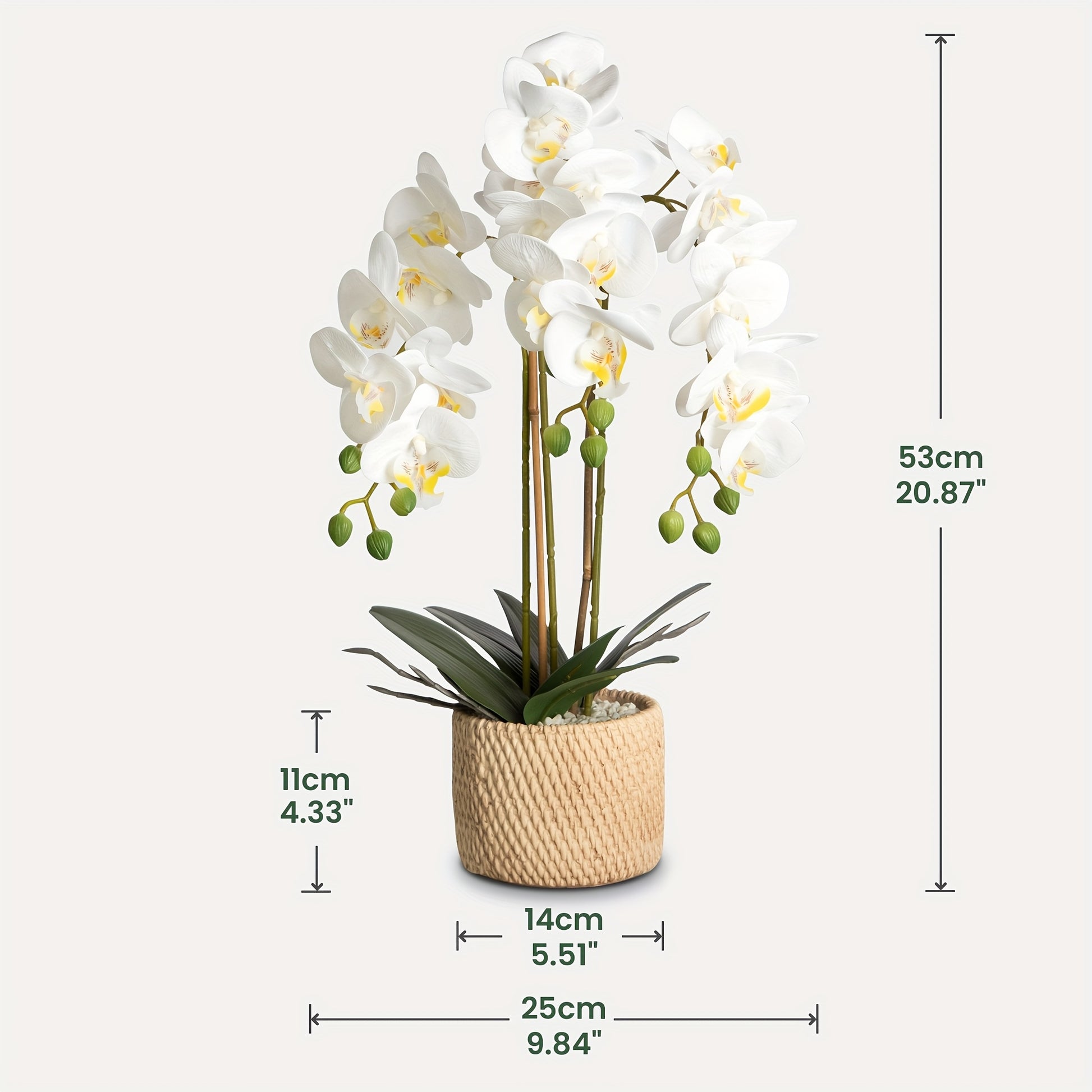 https://img.kwcdn.com/product/fancy/f5685a97-16bf-4082-b3f1-11f075cd90fb.jpg