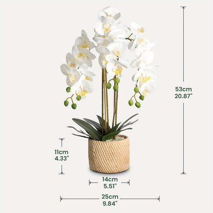 https://img.kwcdn.com/product/fancy/f5685a97-16bf-4082-b3f1-11f075cd90fb.jpg