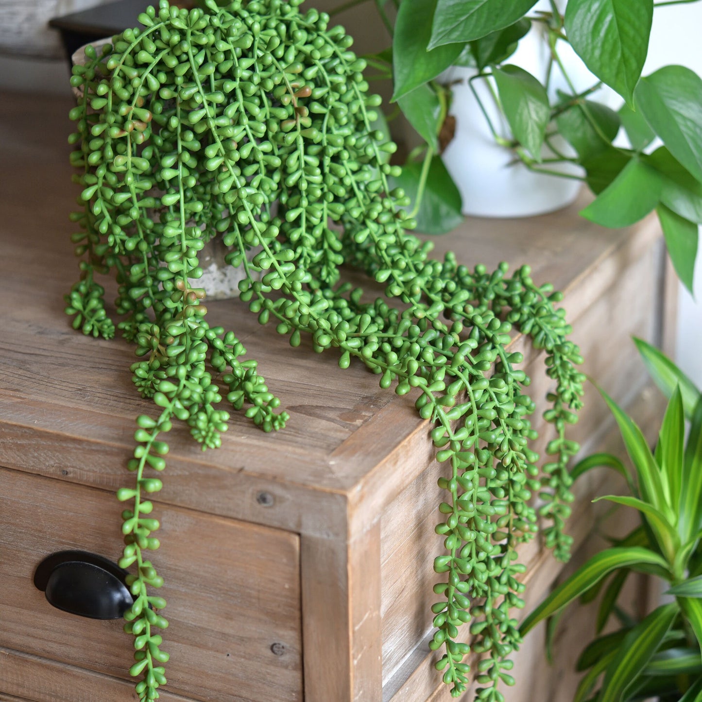 https://i.etsystatic.com/10880665/r/il/3f7796/3159059598/il_fullxfull.3159059598_l1bm.jpg